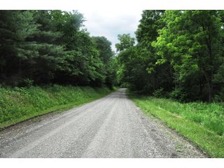 Property photo 25 - LAND AUCTION - 1,050+/- ACRES OFFERED IN 21 TRACTS PLUS 450+/- ACRE HUNTING LEASE IN MUSKINGUM COUNTY, OHIO